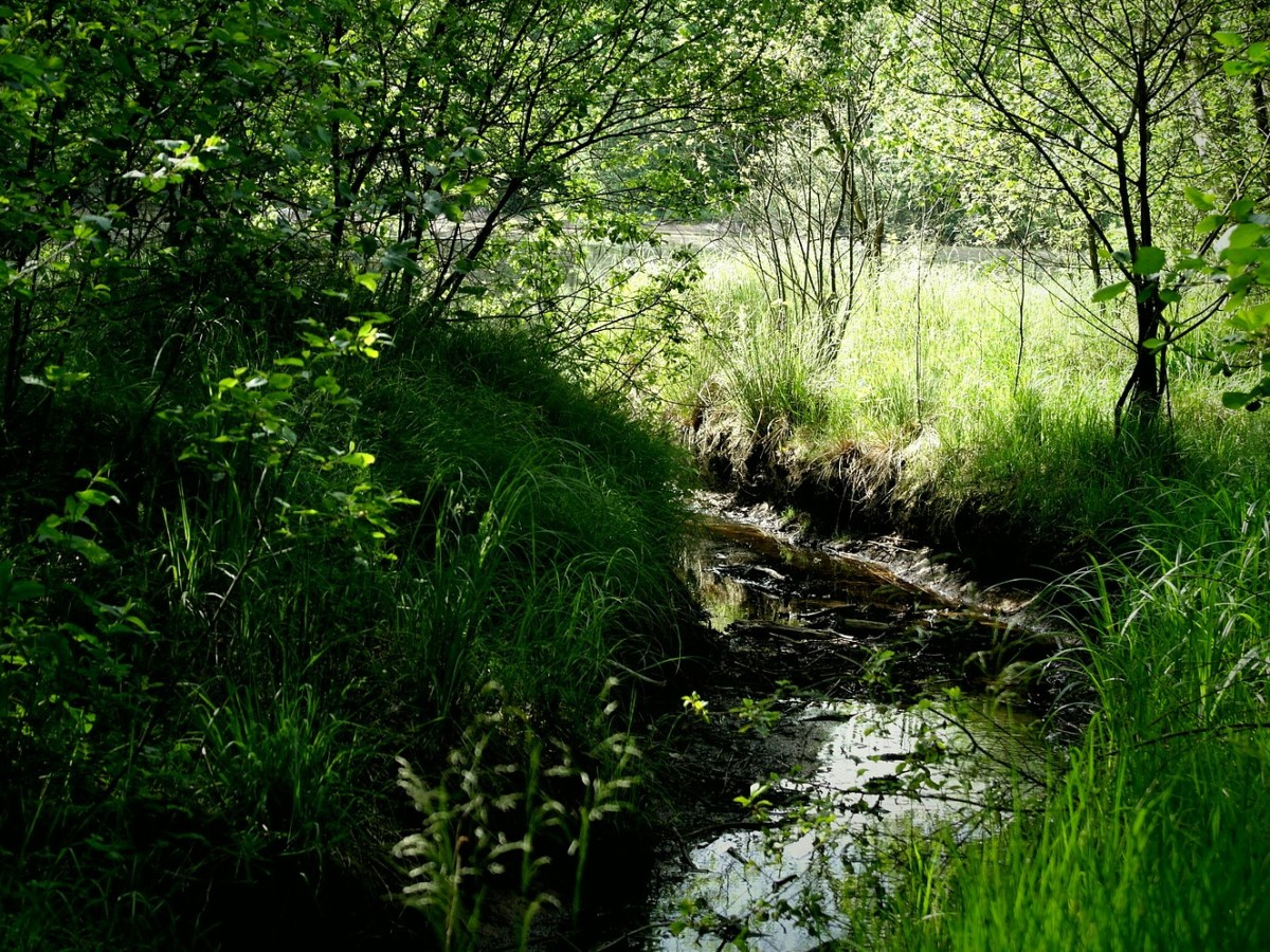 Burgerwetenschappers meten massaal&nbsp;waterkwaliteit