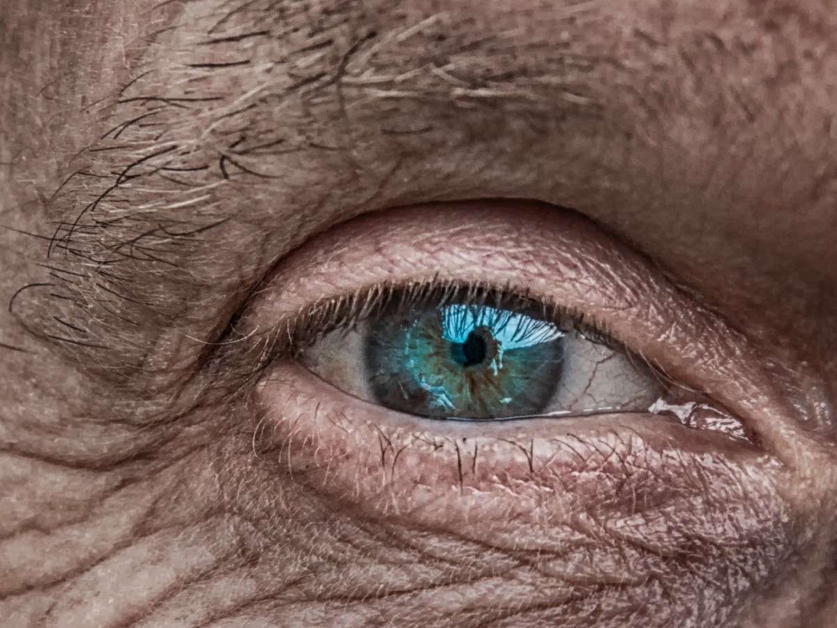 Eyesight generated in the&nbsp;petri-dish